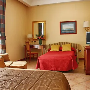Hotel Le Cheminee Business